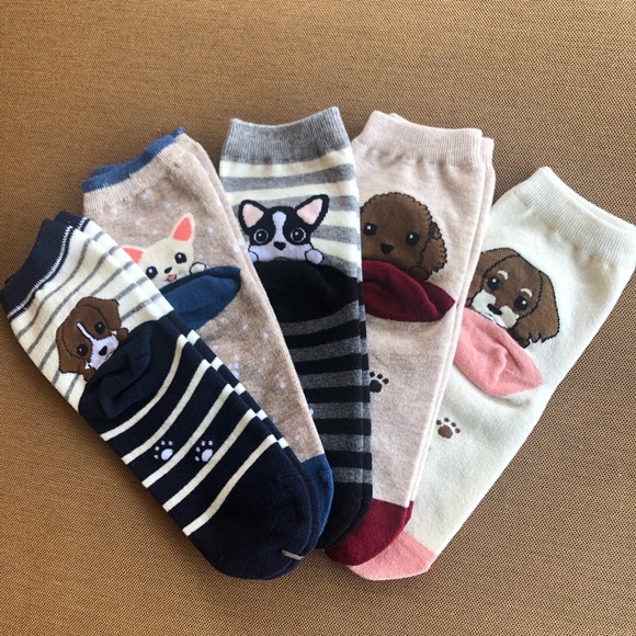 FuN SOCKS pack of 5, fits sizes 6-9
